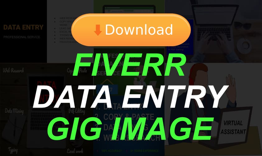 Read more about the article 10 Best Fiverr Data Entry Gig Images (Editable)